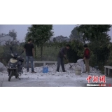 南京眼鏡蛇出逃曝光40小時：當地家家戶戶石灰封門窗
